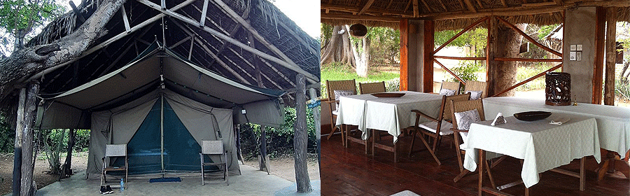 Selous Jimbiza Camp Tanzania