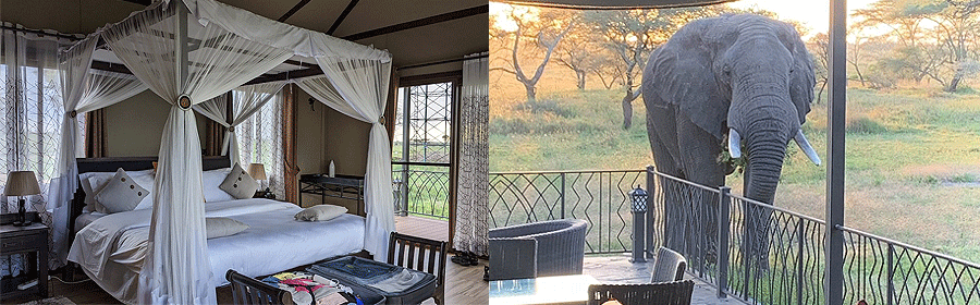 Serengeti Sametu Camp Serengeti National Park Tanzania