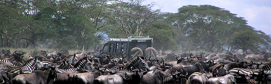 Kenya & Tanzania Luxury Safaris