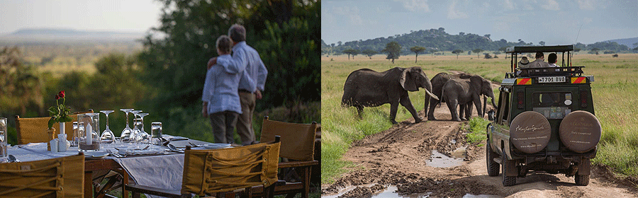 Serengeti Pioneer Camp