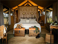 Nomad Serengeti Safari Camp – Serengeti National Park