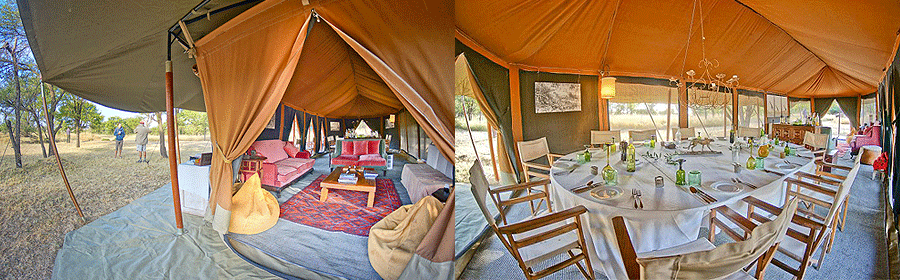 SERIAN'S SERENGETI LAMAI