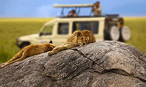 7 Days 6 Nights Tanzania Flying Safaris