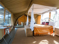 Serengeti Wildebeest Camp, Seronera Area– Serengeti National Park