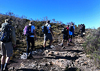 Mount Kenya Climb 1 Day Hike Sirimon Route