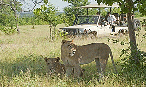 9 Days 8 Nights Kenya & Tanzania Luxury Fly-in Safari with Sanctuary Retreats Camps and Lodges (Arusha – Tarangire – Serengeti – Masai Mara)