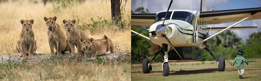 Tanzania Flying Safari