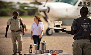 13 Days 12 Nights Tanzania Fly-in Safari Tarangire, Ngorongoro, Serengeti, Ruaha & Selous