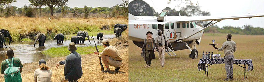 Tanzania Luxury Tours & Safaris