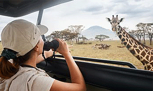 3 Days 2 Night Tanzania Safari Holidays, Tours & Trips