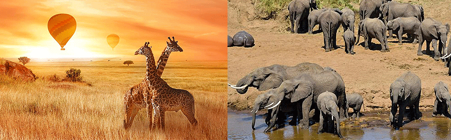 Hot Air Balloon Safaris Tarangire National Park Tanzania