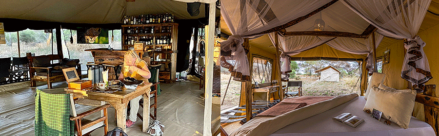 Baobab Tented Camp Tarangire National Park