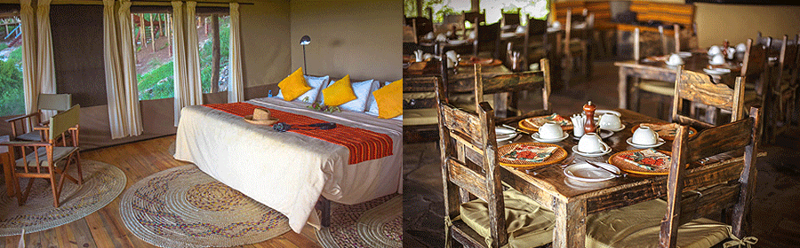 Sangaiwe Tented Lodge Tanzania