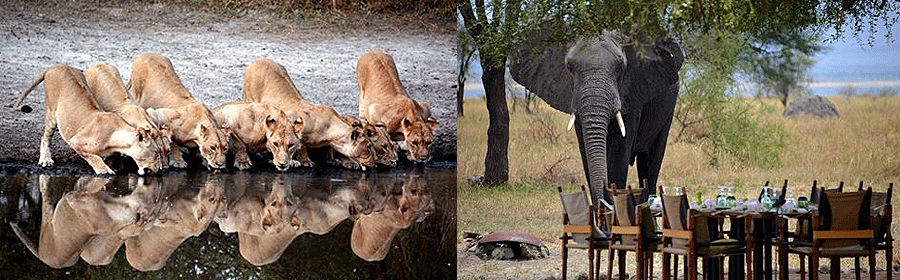 Tarangire National park