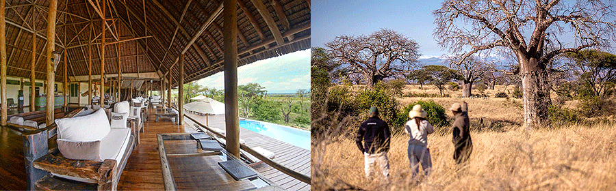 Elewana Tarangire Treetops