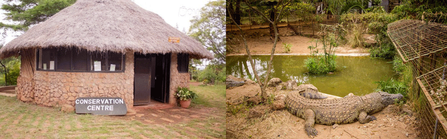 Blue Posts Hotel Museum