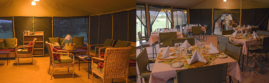 ThornTree Camp Serengeti National Park