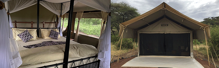 Lake Manyara Tortilis Camp Tanzania