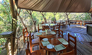 Trout Tree Nanyuki Restaurant – Mount Kenya’s Fresh Fish Restaurant