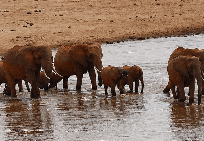 Tsavo East National Park