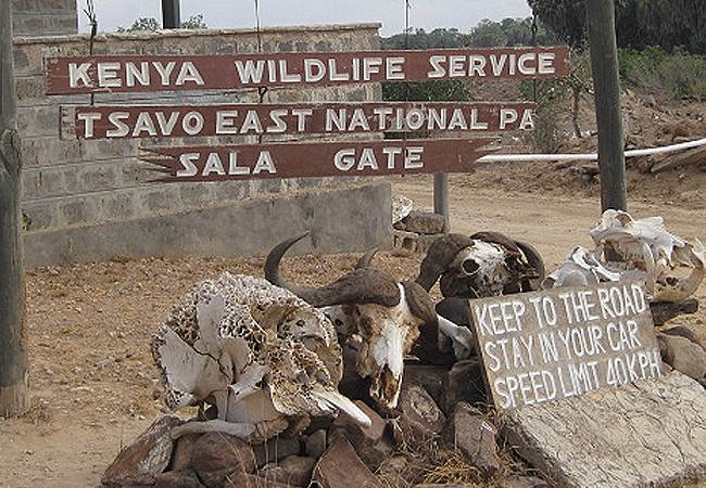 Tsavo East National Park