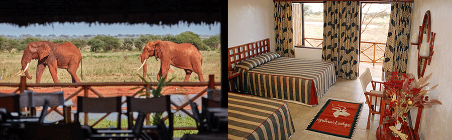 Ngutuni Safari Lodge