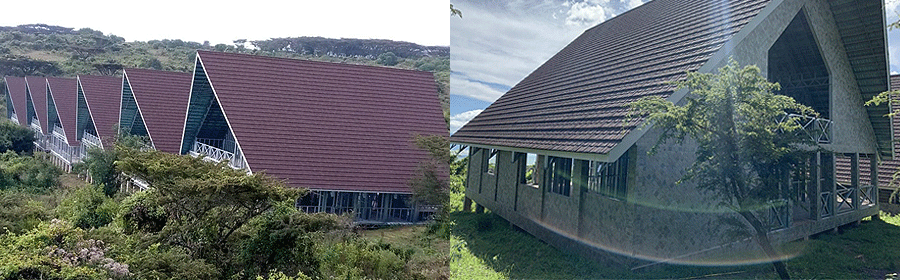 TNS Ngorongoro Lodge Tanzania