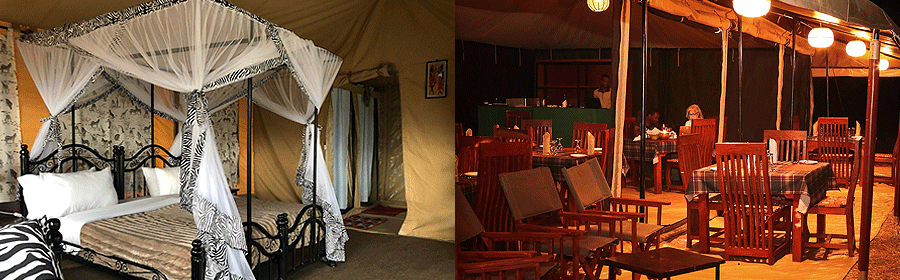 Tukaone Serengeti Camp Tanzania
