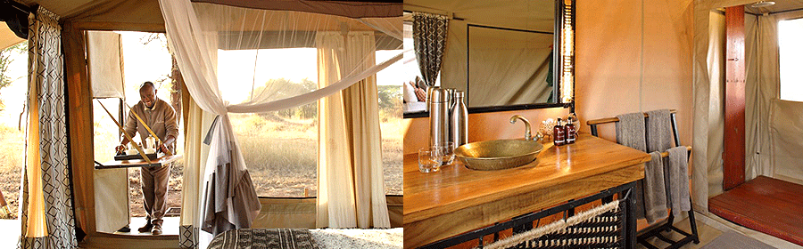 Ubuntu Migration Camp Serengeti Tanzania