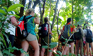 4 Days 3 Nights Tanzania Southern Safari – Mikumi National Park & Udzungwa Mountains National Park ( Driving) From Dar es Salaam