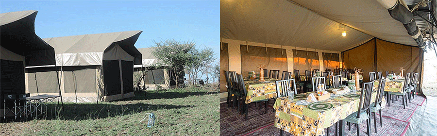 Serengeti Wildebeest Camp Tanzania