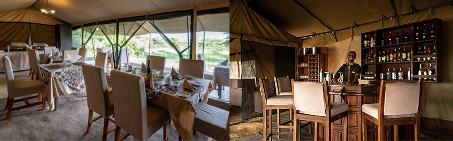 Serengeti Woodlands Camp Tanzania