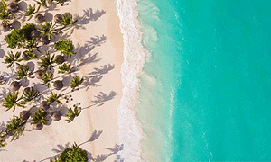 8 Days 7 Nights Tanzania Safari, Tours & Holidays